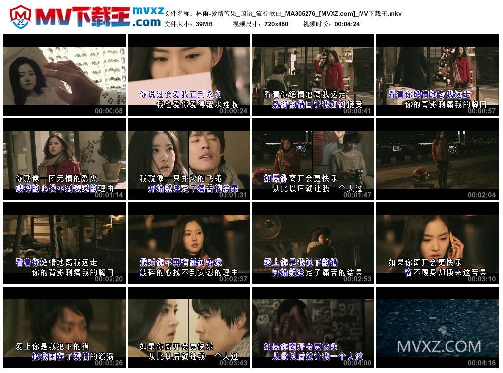 林雨-爱情苦果_国语_流行歌曲_MA305276